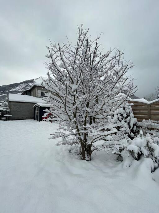 Bel Appartement Dans Residence Cheminee /Jardin Luz-Saint-Sauveur Exteriér fotografie